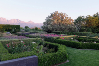 Colour Garden